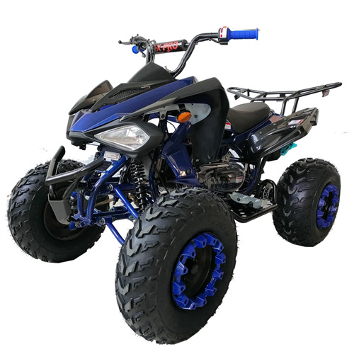X-PRO ATV-P010 200cc Sports ATV with Automatic Transmission with Reverse
