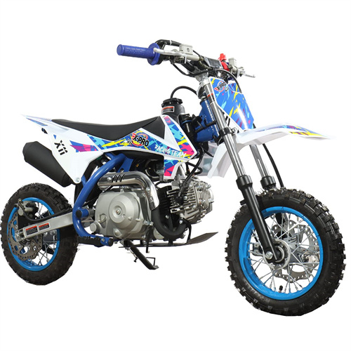 X-PRO DB-K003 110cc Dirt Bike with Automatic Transmission