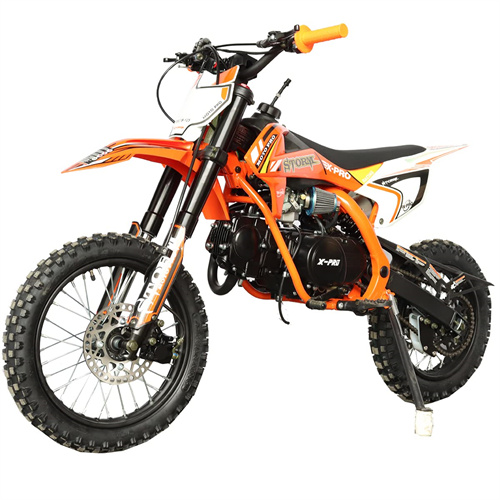 X-PRO DB-X38 125cc Dirt Bike with 4-speed Manual Transmission